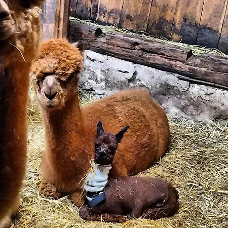 Apartman Bauernhof Haus Sturm Jerzens