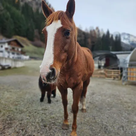 Bauernhof Haus Sturm *