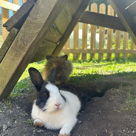 Apartman Bauernhof Haus Sturm Jerzens