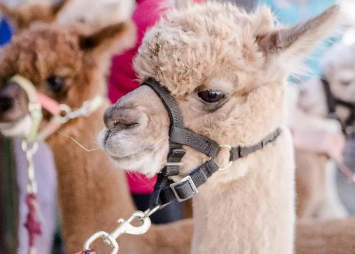 Apartman Bauernhof Haus Sturm *