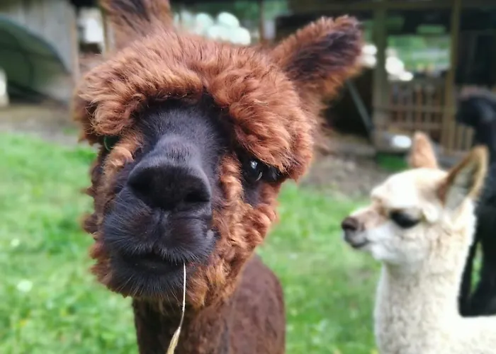 Bauernhof Haus Sturm * Jerzens