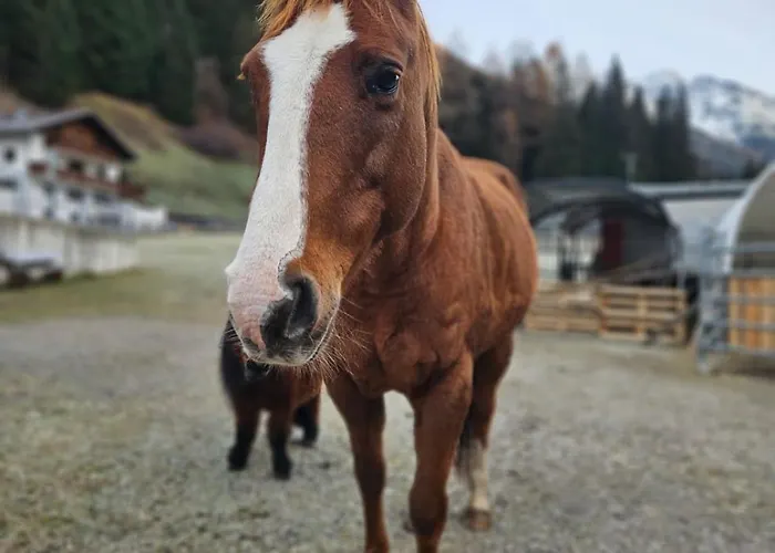 Bauernhof Haus Sturm *