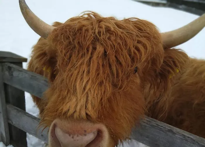 Bauernhof Haus Sturm * Jerzens