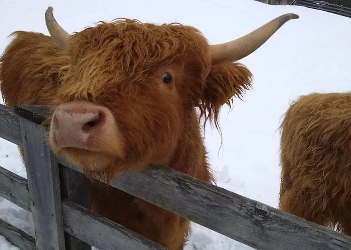 Bauernhof Haus Sturm Jerzens