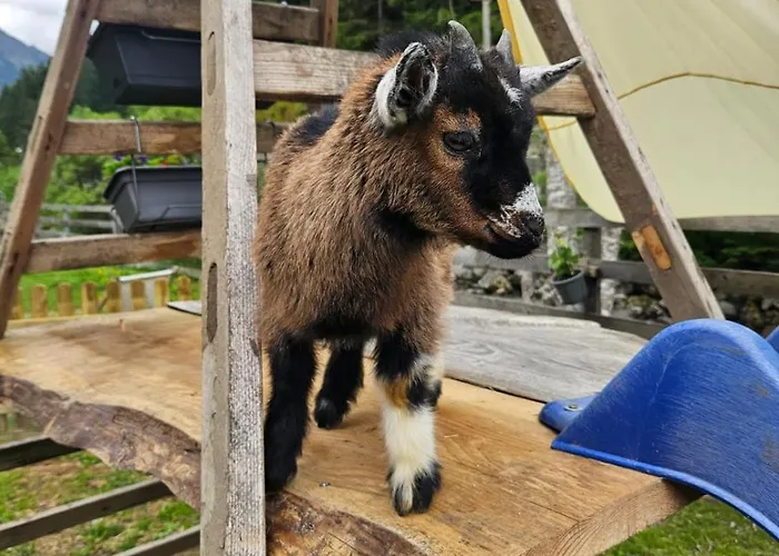 Bauernhof Haus Sturm