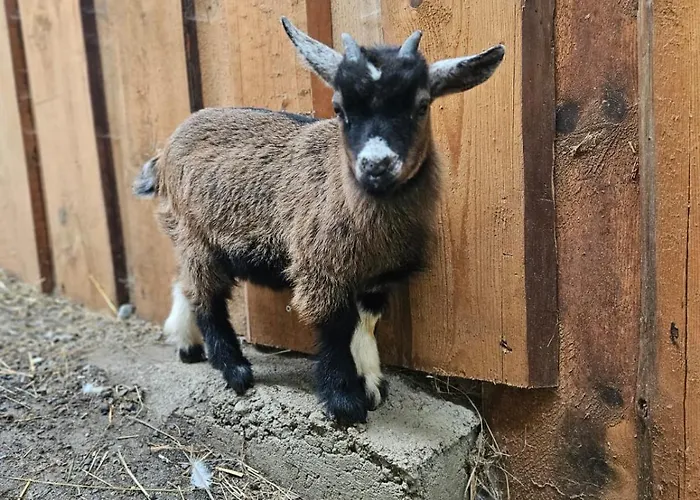 Apartman Bauernhof Haus Sturm