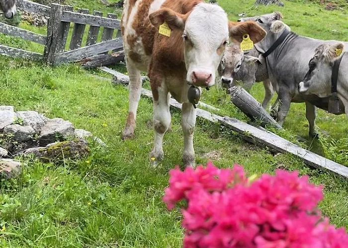Bauernhof Haus Sturm