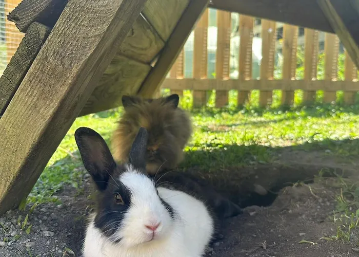 Apartman Bauernhof Haus Sturm Jerzens