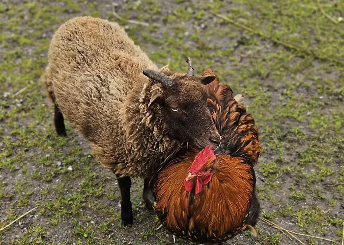 Bauernhof Haus Sturm Jerzens